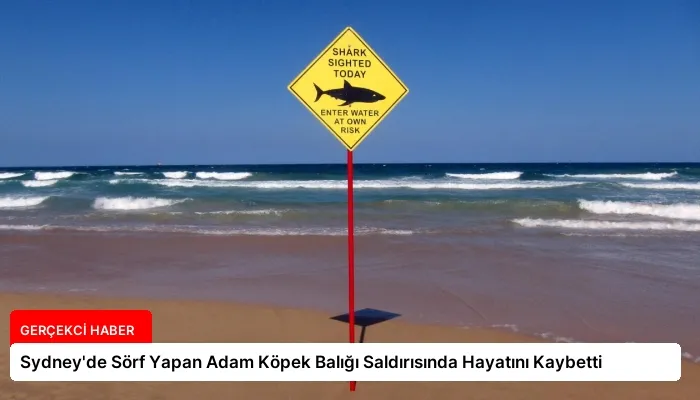 Sydney’de Sörf Yapan Adam Köpek Balığı Saldırısında Hayatını Kaybetti