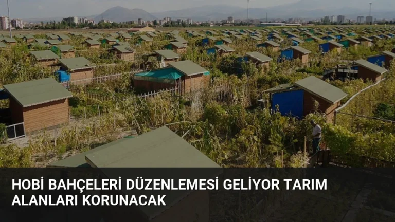 Hobi Bahçeleri Düzenlemesi Geliyor Tarım Alanları Korunacak