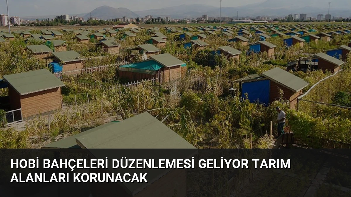 Hobi Bahçeleri Düzenlemesi Geliyor Tarım Alanları Korunacak
