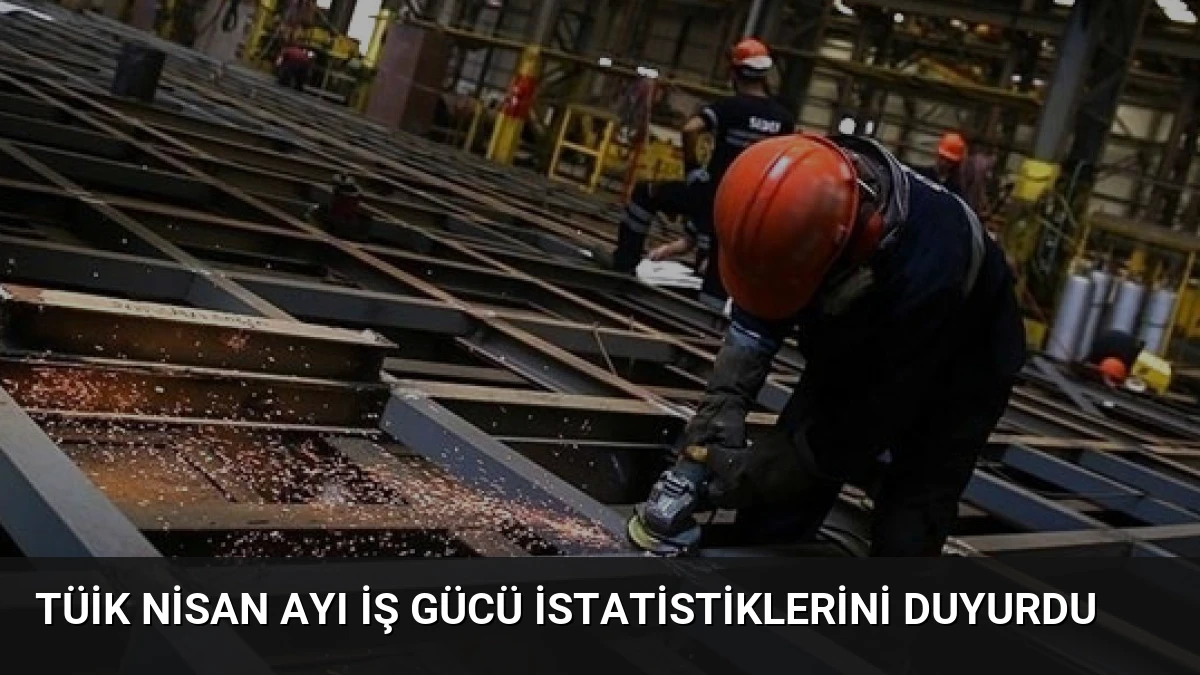 TÜİK Nisan Ayı İş Gücü İstatistiklerini Duyurdu