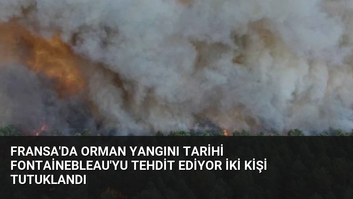 Fransa’da Orman Yangını Tarihi Fontainebleau’yu Tehdit Ediyor İki Kişi Tutuklandı