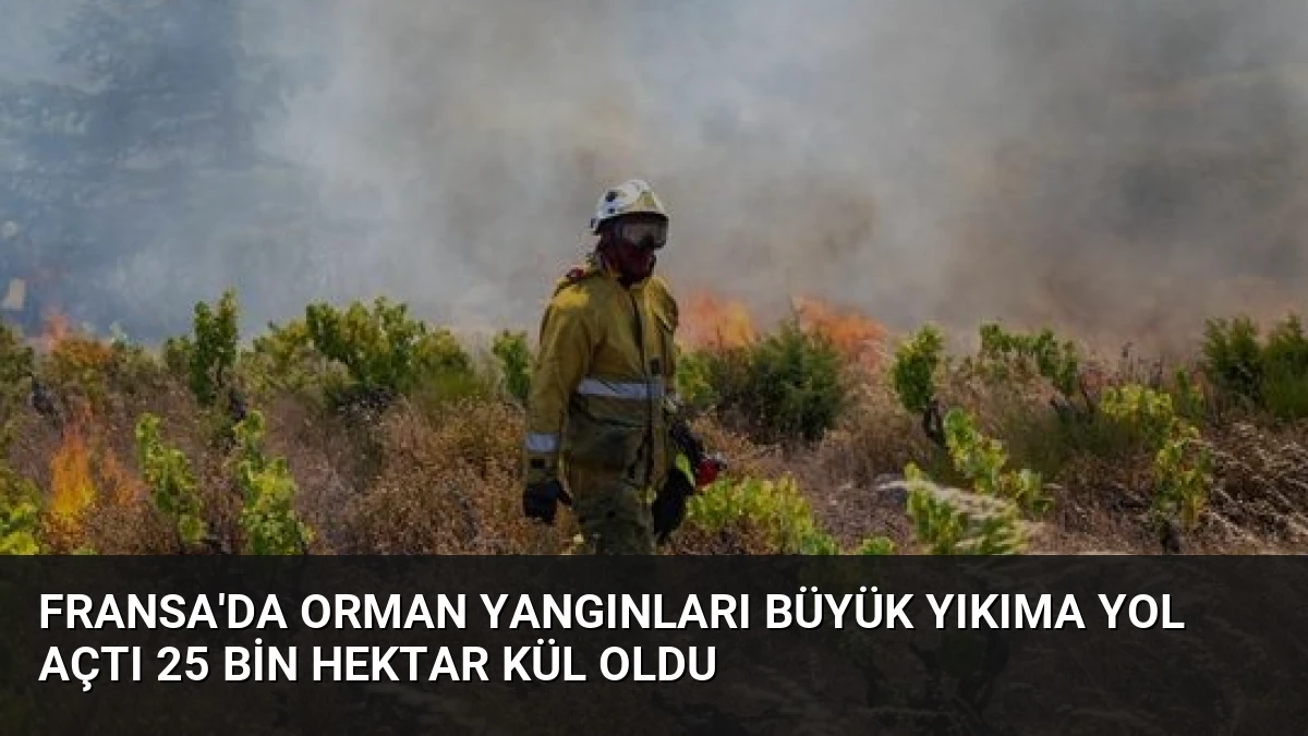 Fransa’da Orman Yangınları Büyük Yıkıma Yol Açtı 25 Bin Hektar Kül Oldu