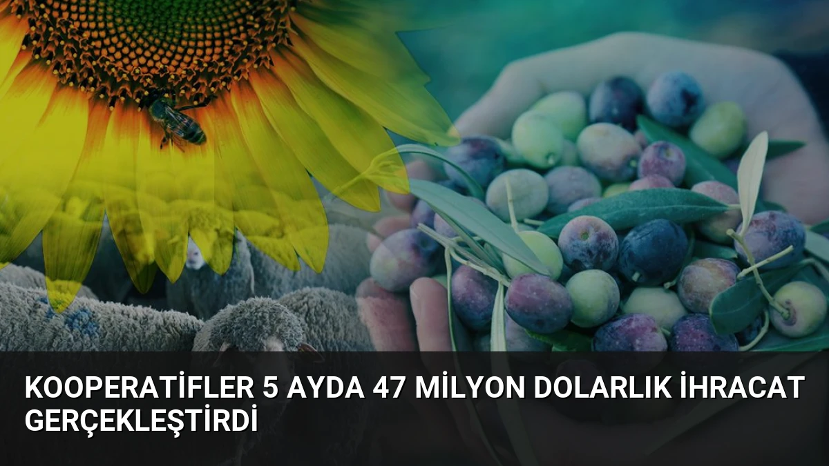 Kooperatifler 5 Ayda 47 Milyon Dolarlık İhracat Gerçekleştirdi